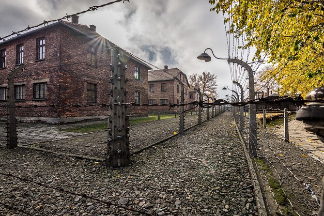 From Krakow: Auschwitz and Salt Mine Guided Tour & Lunch Box - Tour Highlights