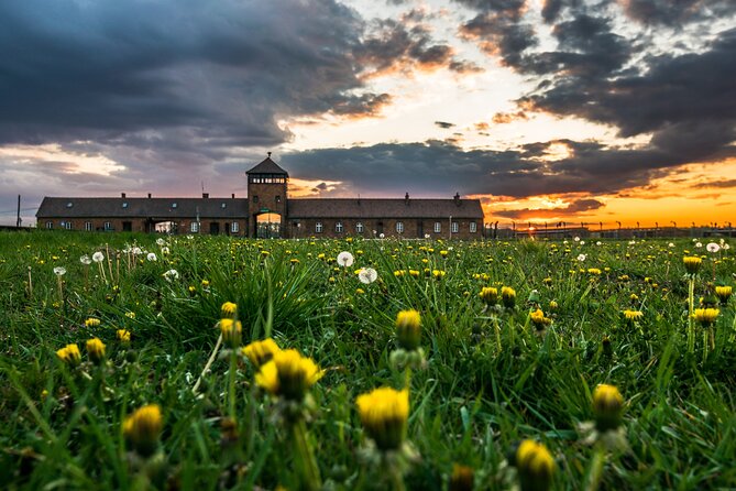 From Krakow: Auschwitz and Salt Mine Guided Tour & Lunch Box - Experience Details