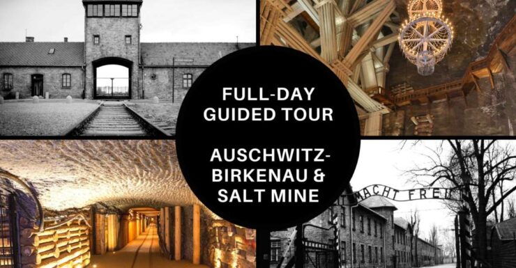 From Krakow: Auschwitz Birkenau and Salt Mine Guided Tour - Tour Details
