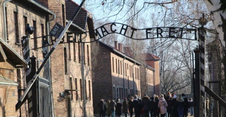 From Krakow: Auschwitz-Birkenau and Self-Guided Day Tour - Good To Know