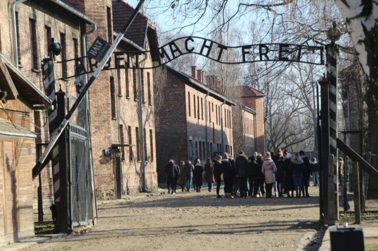 From Krakow: Auschwitz-Birkenau and Self-Guided Day Tour - Transportation and Itinerary