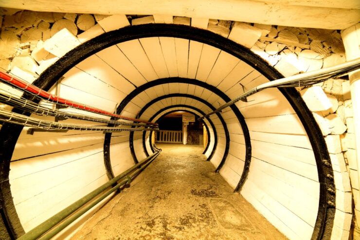 From Krakow: Auschwitz-Birkenau and Wieliczka Salt Mine Tour - Skip-the-Line Access and Guided Tour