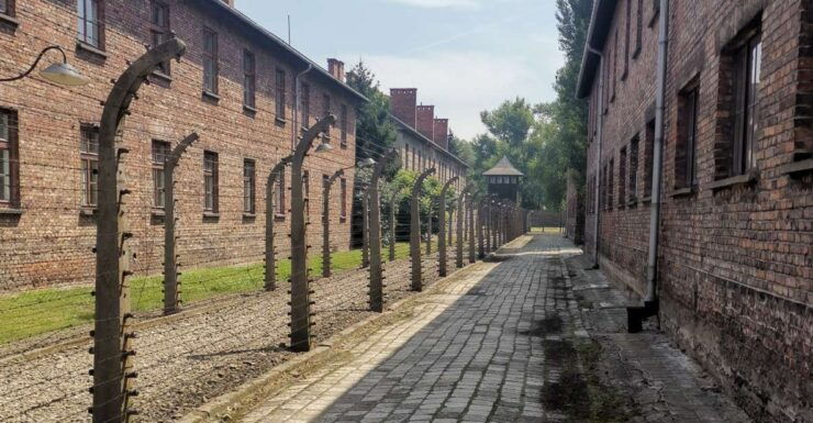 From Krakow: Auschwitz-Birkenau Camp Complex Guided Day Trip - Pricing and Inclusions