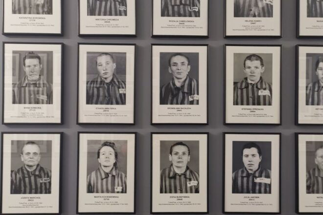 From Krakow: Auschwitz-Birkenau Camp Complex Guided Day Trip - Experience Highlights