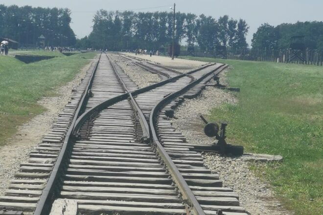 From Krakow: Auschwitz-Birkenau Camp Complex Guided Day Trip - Transportation and Logistics