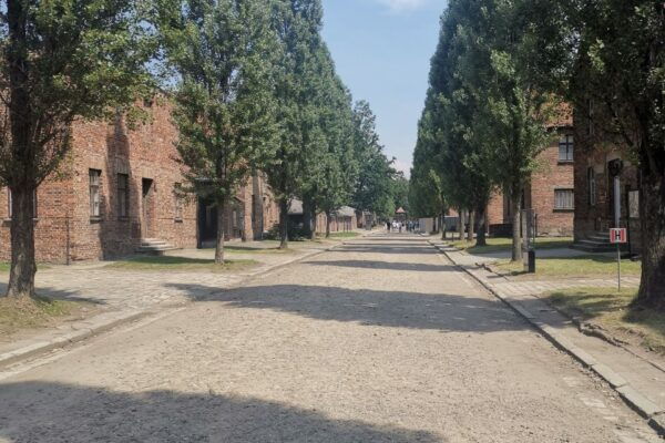 From Krakow: Auschwitz-Birkenau Camp Complex Guided Day Trip - Visitor Requirements