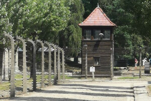 From Krakow: Auschwitz-Birkenau Camp Complex Guided Day Trip - Customer Feedback