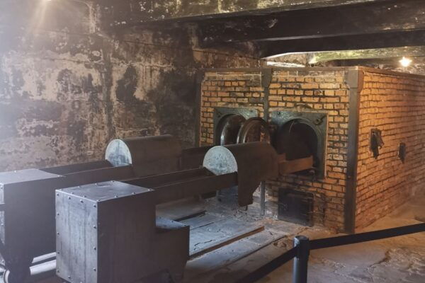 From Krakow: Auschwitz-Birkenau Camp Complex Guided Day Trip - Booking and Reservations