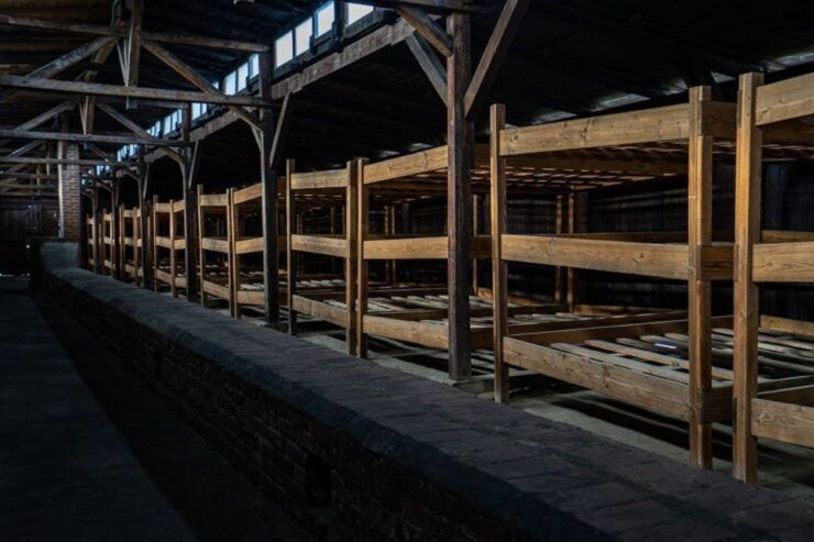 From Krakow: Auschwitz-Birkenau Full-Day Tour - Good To Know