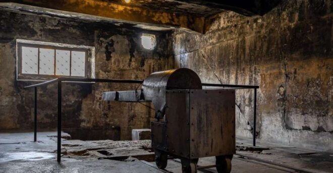 From Krakow: Auschwitz-Birkenau Full-Day Tour - Tour Itinerary and Inclusions