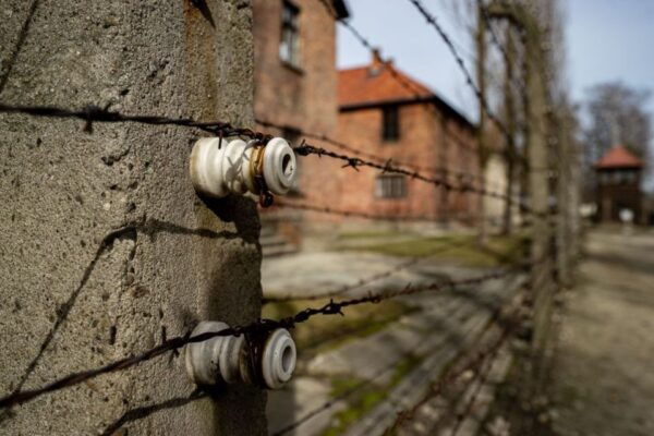 From Krakow: Auschwitz-Birkenau Full-Day Tour - Language Options
