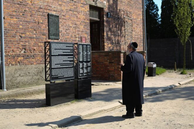 From Krakow: Auschwitz-Birkenau Full-Day Tour With Pickup - Auschwitz-Birkenau Guided Tour
