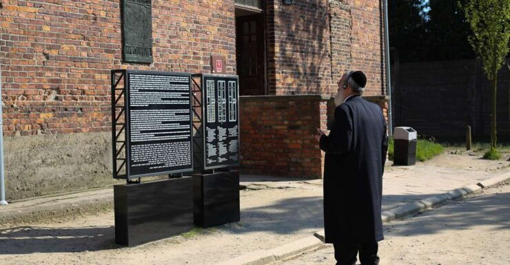 From Krakow: Auschwitz-Birkenau Full-Day Tour With Pickup - Booking Details and Options
