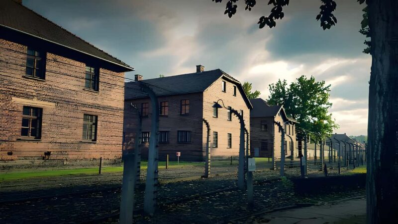 From Krakow: Auschwitz-Birkenau FullDay Guided Tour - Who Would Benefit Most?