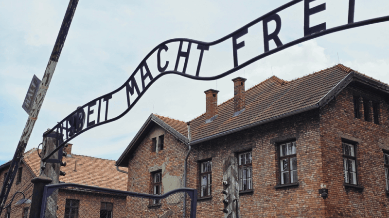 From Krakow: Auschwitz-Birkenau Guided Tour Guaranteed Time - Introduction