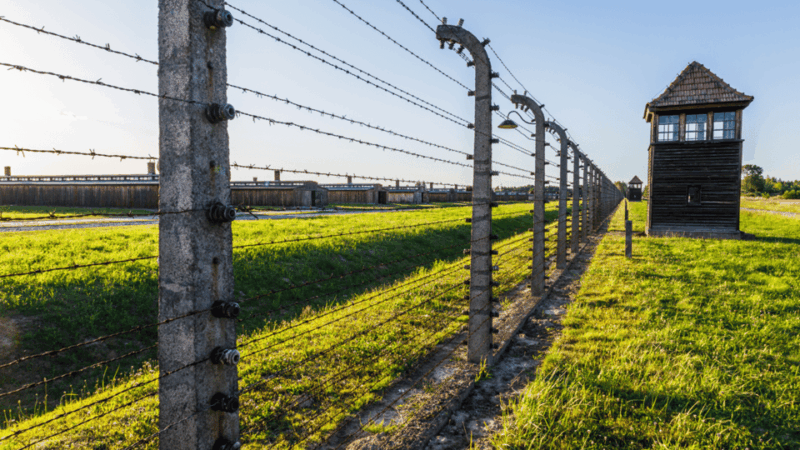 From Krakow: Auschwitz-Birkenau Guided Tour Guaranteed Time - Overview of the Tour Experience