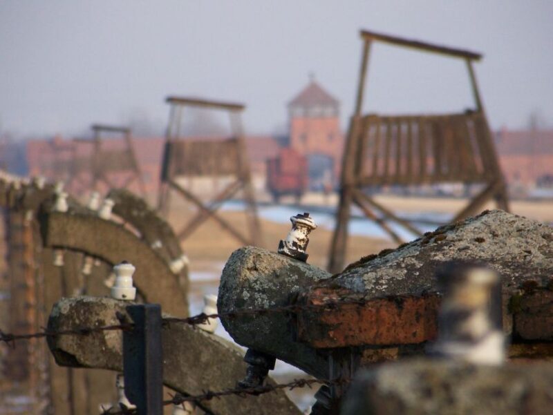 From Krakow: Auschwitz-Birkenau Guided Tour & Hotel Pickup - What Do Reviewers Say?