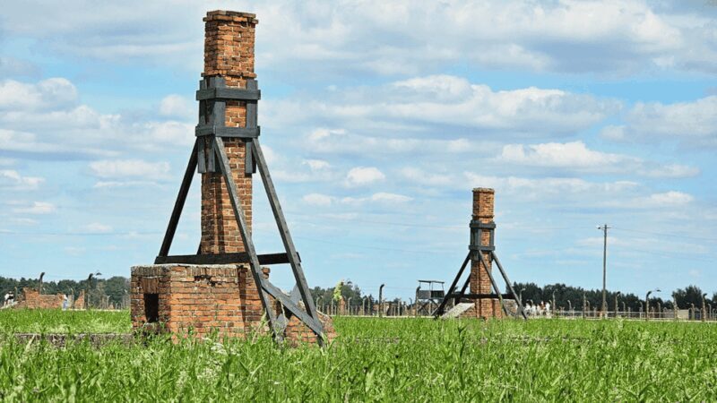 From Krakow: Auschwitz-Birkenau Guided Tour, Several Options - The Sum Up