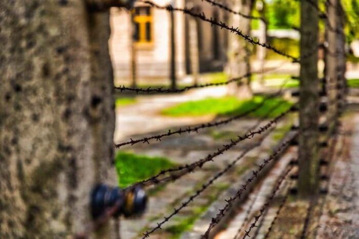From Krakow: Auschwitz-Birkenau Guided Tour & Transport - The Sum Up