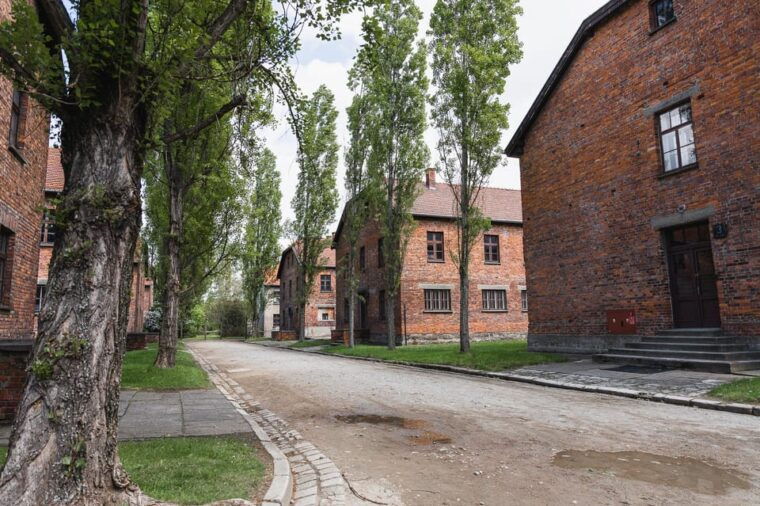 From Krakow: Auschwitz & Birkenau Guided Tour with Pick up - Who Should Consider This Tour?