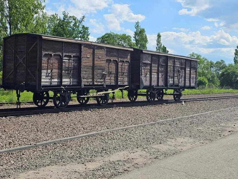 From Krakow: Auschwitz-Birkenau Guided Tour with Pickup - Good To Know