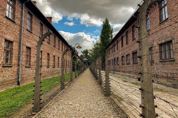 From Krakow: Auschwitz-Birkenau Memorial and Museum Tour - Tour Details