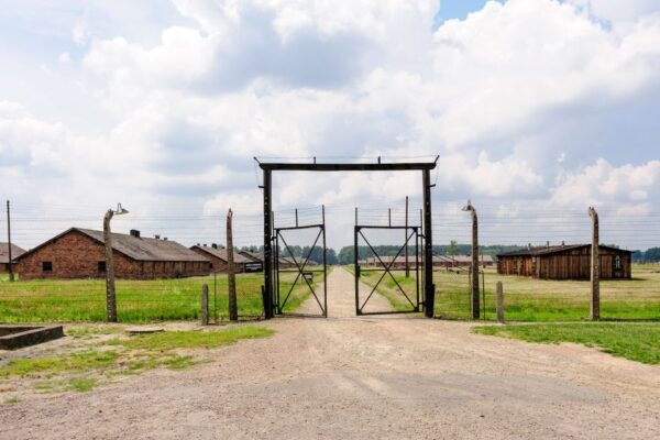 From Krakow: Auschwitz Birkenau Self-Guided Tour - Reservation and Cancellation Policy
