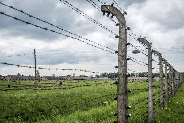 From Krakow: Auschwitz Birkenau Self-Guided Tour - Tour Schedule and Duration