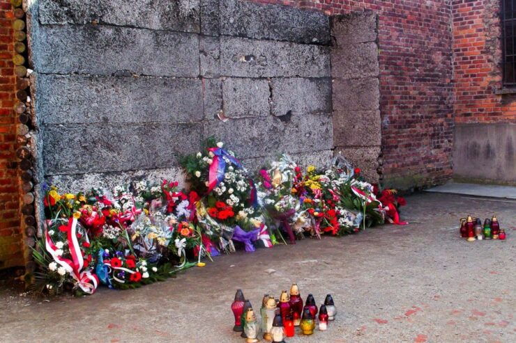 From Krakow: Auschwitz-Birkenau Self-Guided Tour - Highlights of the Tour