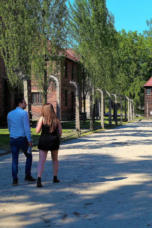 From Krakow: Auschwitz Birkenau Small Group Tour With Pickup - Itinerary Details