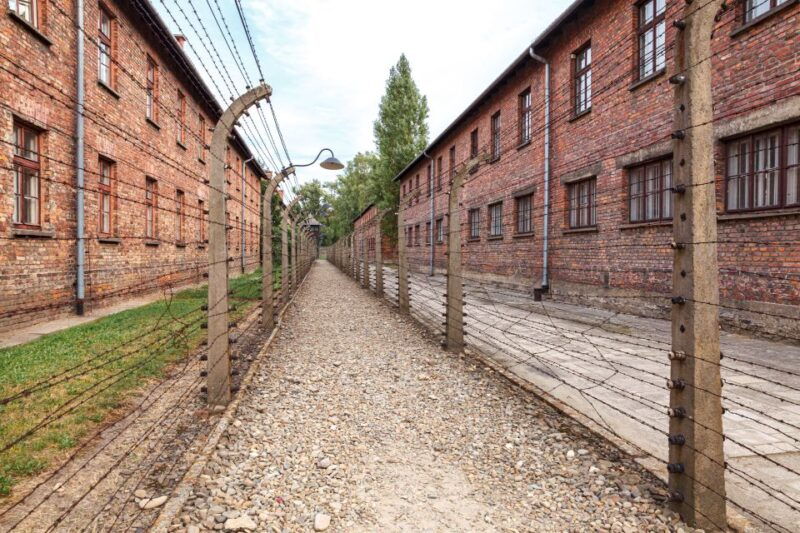 From Krakow: Auschwitz Birkenau Tour with Transfer - Good To Know