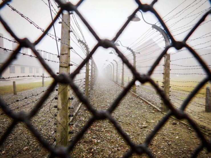 From Krakow: Auschwitz-Birkenau Tour With Transportation - Tour Details