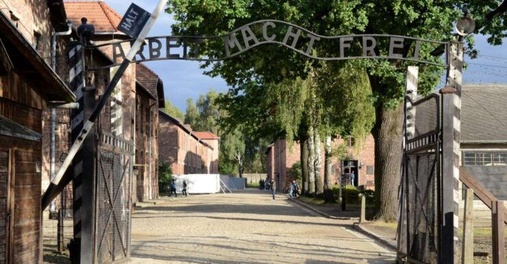 From Krakow: Auschwitz-Birkenau Tour With Transportation - Itinerary and Experience