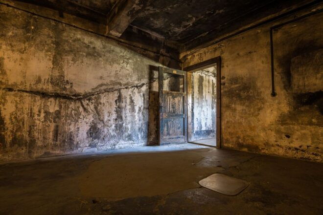 From Krakow: Auschwitz-Birkenau Tour With Transportation - Inclusions
