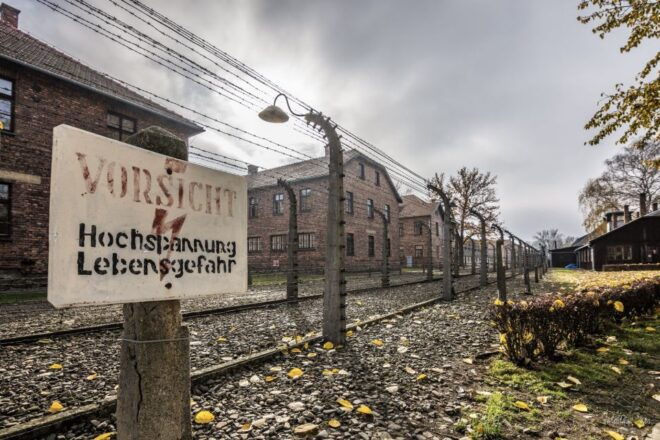 From Krakow: Auschwitz-Birkenau Tour With Transportation - Museum Visit Details