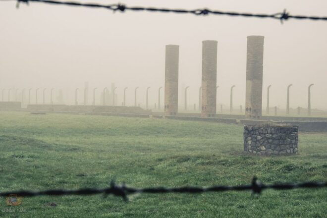 From Krakow: Auschwitz-Birkenau Tour With Transportation - Admission Ticket Included