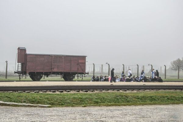From Krakow: Auschwitz-Birkenau Tour With Transportation - Additional Options