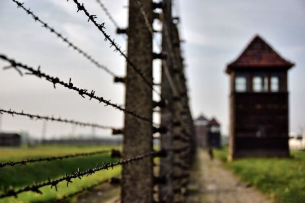 From Krakow: Auschwitz-Birkenau Tour With Transportation - Important Recommendations