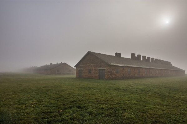 From Krakow: Auschwitz-Birkenau Tour With Transportation - Customer Ratings