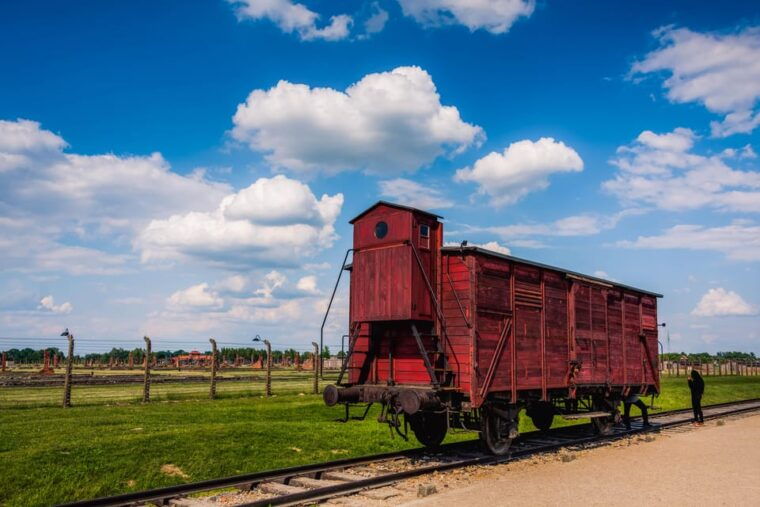 From Krakow: Auschwitz-Birkenau Tour with Transportation - Transition and Break