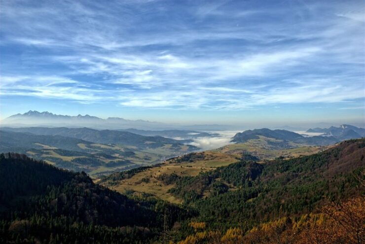 From Krakow: Dunajec River Rafting - Experience Highlights
