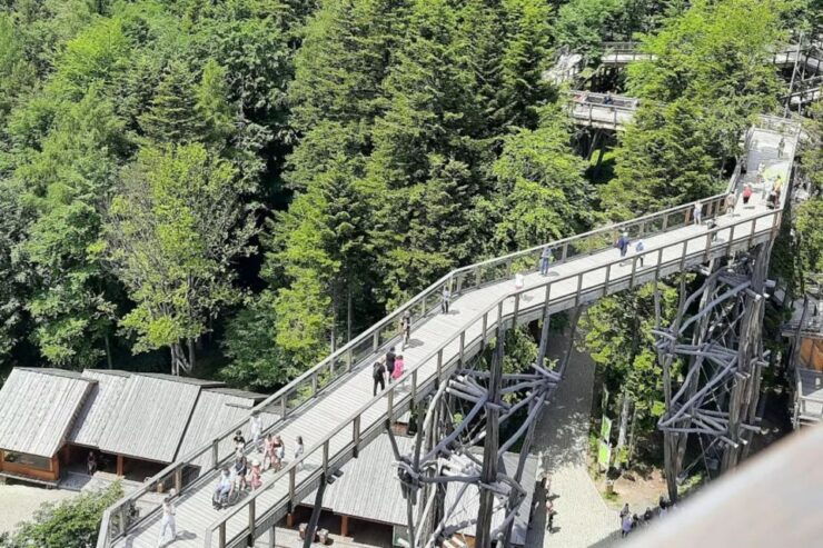 From Krakow: Krynica Zdrój & Mountain Tour With Rooftop Walk - Tour Highlights