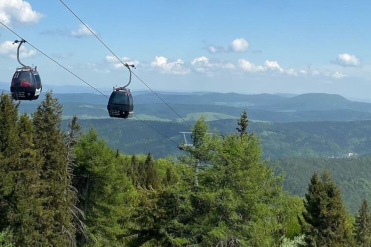 From Krakow: Krynica Zdrój & Mountain Tour With Rooftop Walk - Booking Information