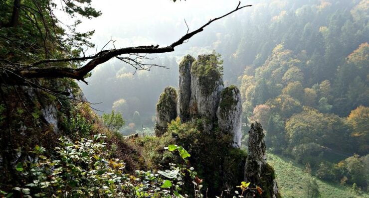 From Krakow: Ojców National Park Tour - Experience Highlights