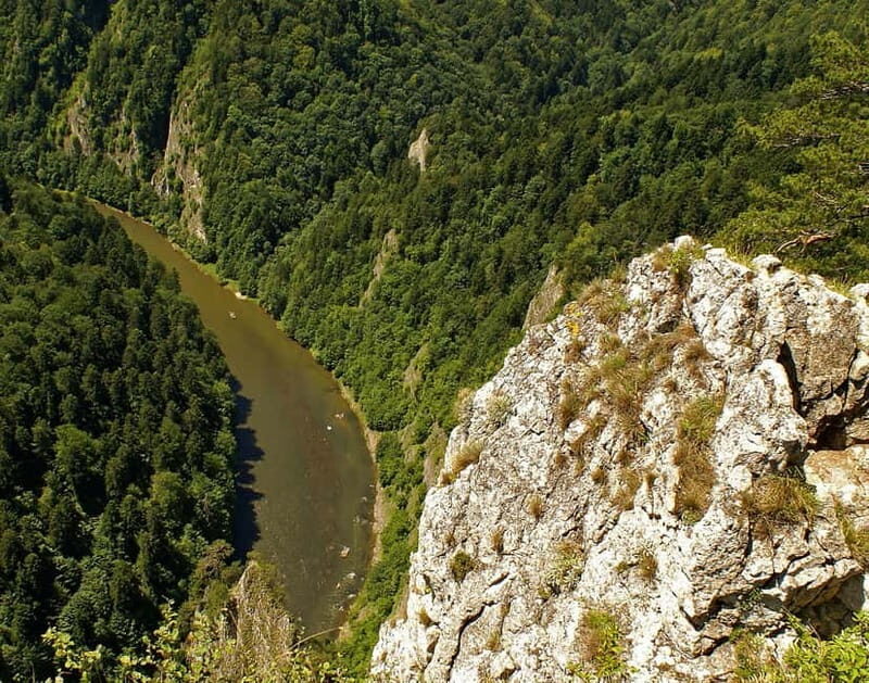 From Krakow: Rafting on Dunajec River Full-Day Trip - Why This Tour Works for You