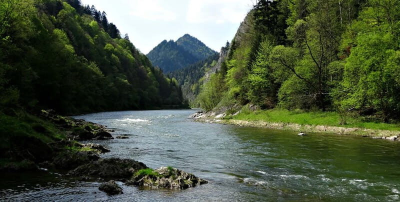 From Krakow: Rafting on Dunajec River Full-Day Trip - The Experience: What Makes It Special