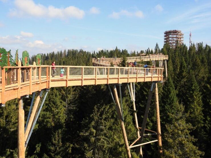 From Kraków: Slovakia Treetop Walk and Dunajec Rafting Tour - Tour Ticket Details