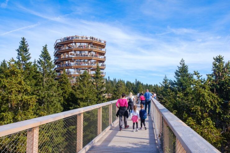 From Krakow: Slovakia Treetop Walk Bachledka Private Tour - Activity Details