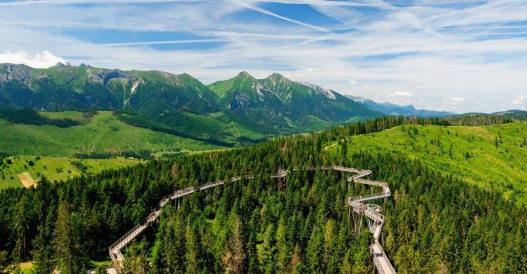 From Krakow: Slovakia Treetop Walk Bachledka Private Tour - Highlights