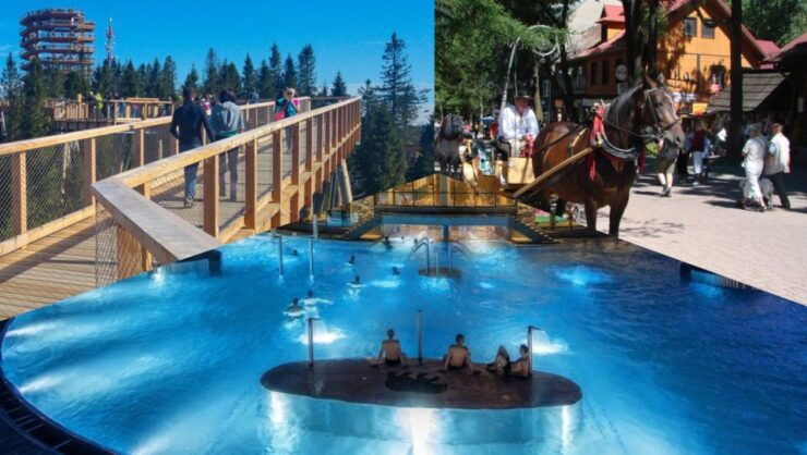 From Krakow: Slovakia Treetop Walk, Zakopane & Thermal Spa - Activity Details